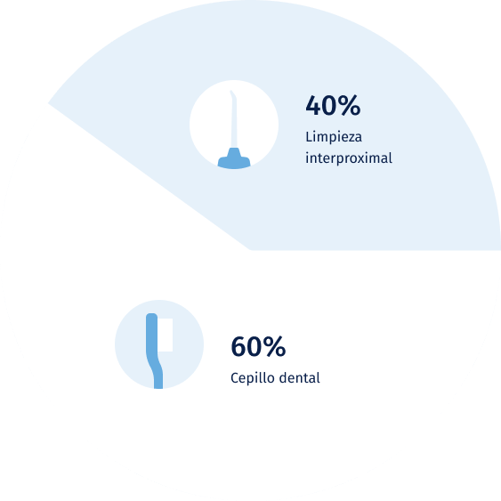 40% / 60% estadísticas cepillado